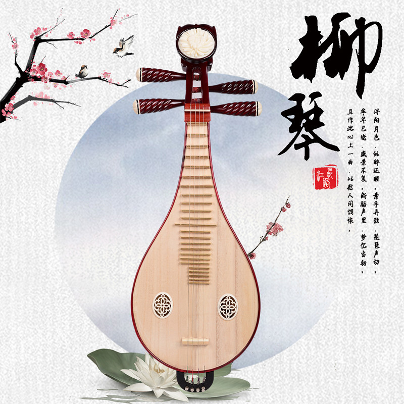Musical Instrument Music - Professional Performance & Grade Examination Liuqin