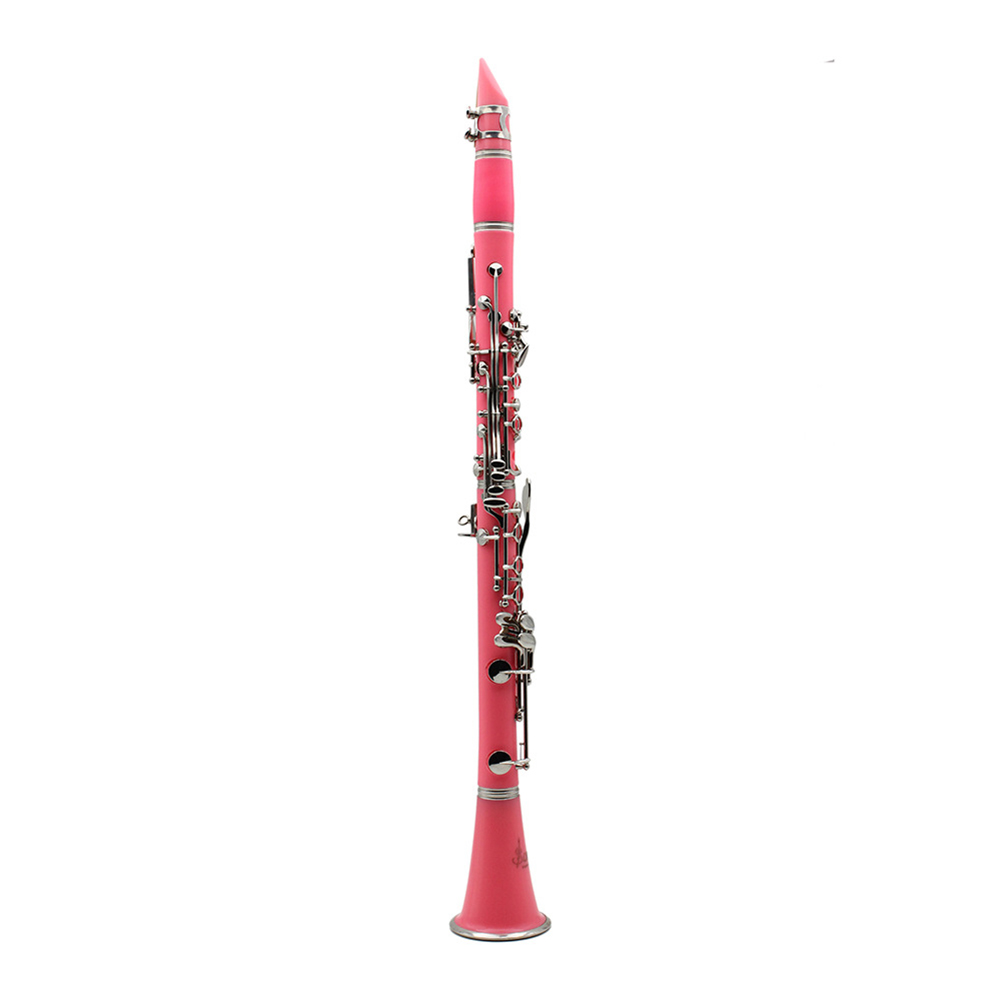 Bb Clarinet 17 Keys with Case  – Musical Instrument In Orchestra recenzja i cena