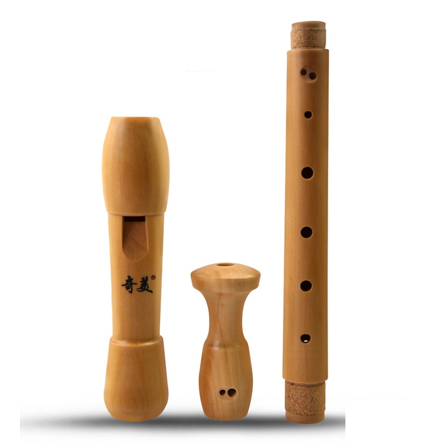 Qimei 8 Holes Alto Recorder Mu – Musical Instrument German recenzja i cena