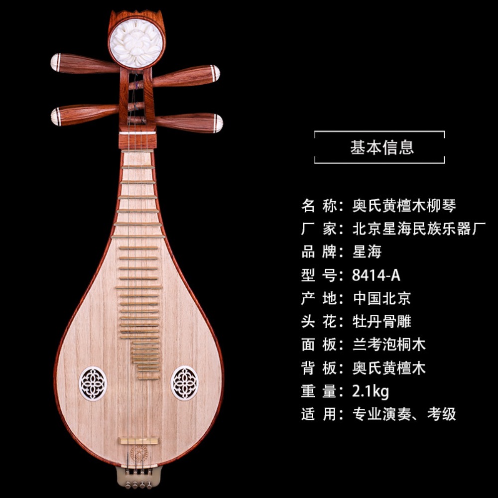 Beijing Xinghai 8414-A Rosewoo – Musical Instrument Music recenzja i cena