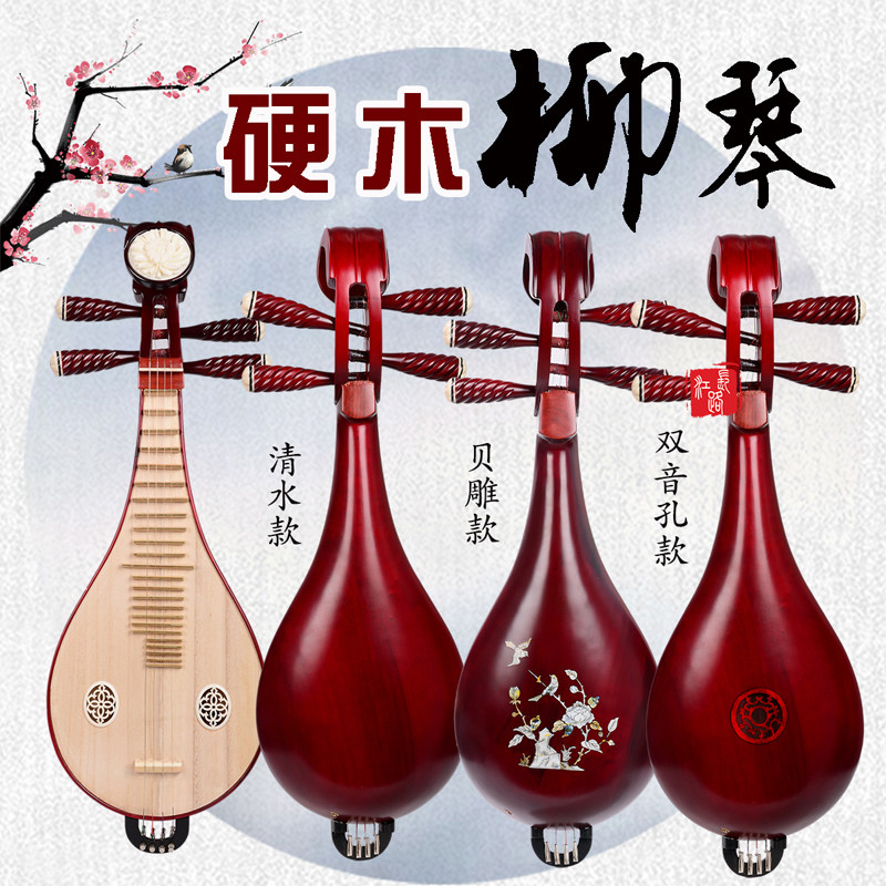 Professional Performance & Gra – Musical Instrument Music recenzja i cena